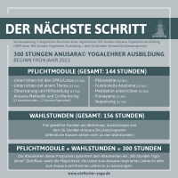 TT plus300 Pflichtmodule 