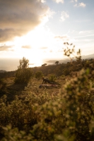 Yoga&Dolce Vita am ligurischen Meer  