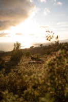 Yoga&Dolce Vita am ligurischen Meer 